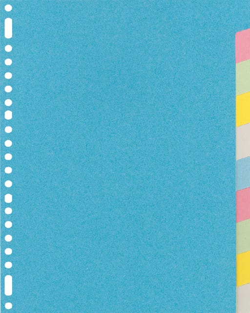 Kangaro tabbladen - A4 - gerecycled karton - 220 grams - 23-gaats - 10-delig blanco