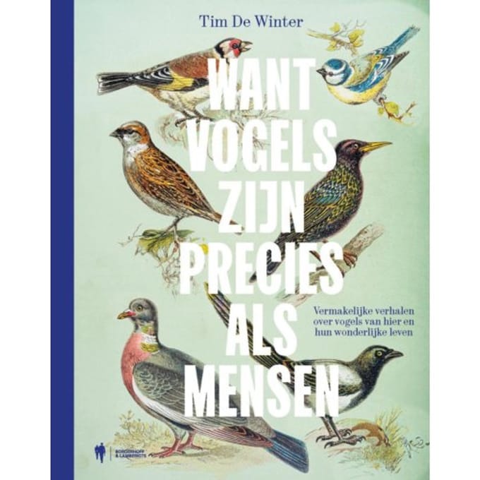 Want Vogels Zijn Precies Als Mensen - Tim De Winter