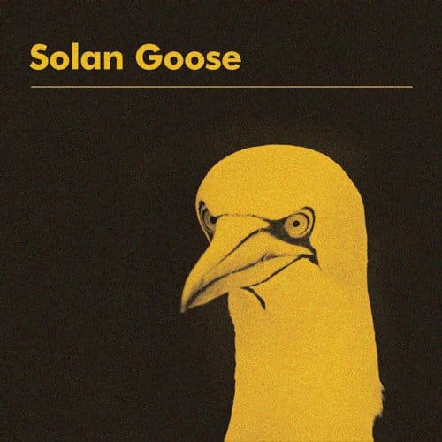 Solan Goose - Erland Cooper