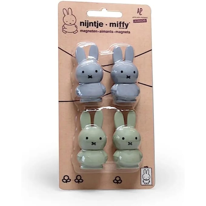 Atelier Pierre Nijntje Magneetjes Silver Blue / Eucalyptus 4 Stuks