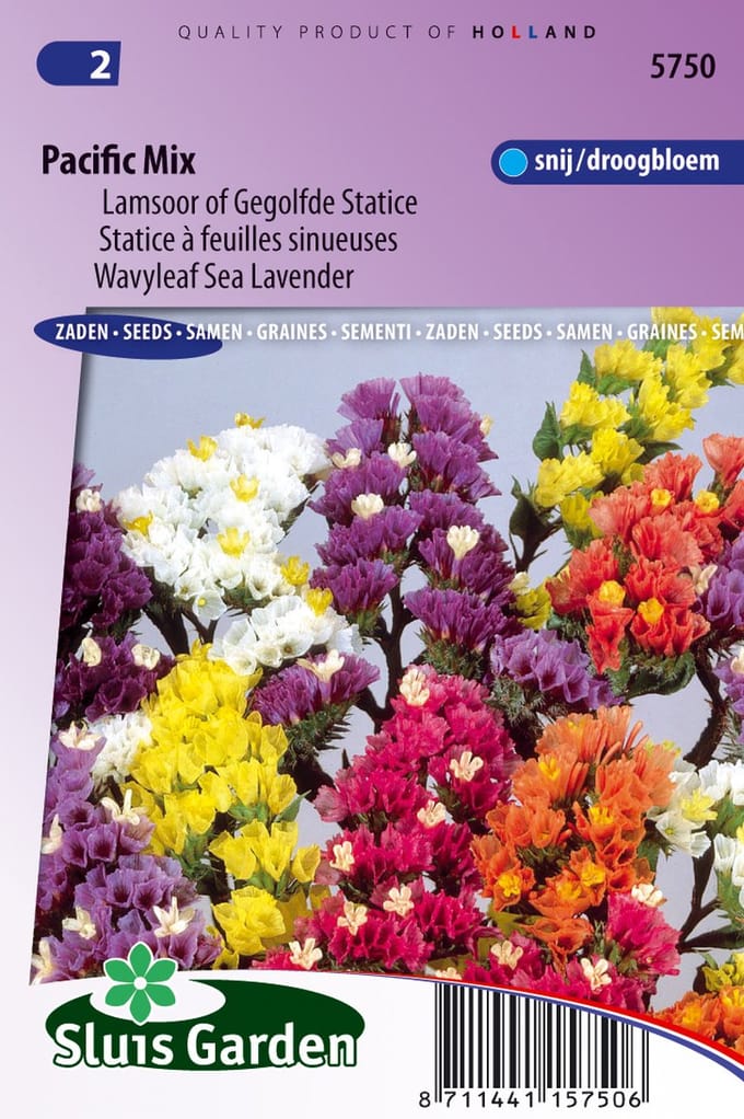 Sluis Garden - Lamsoor Pacific Mix (Statice)