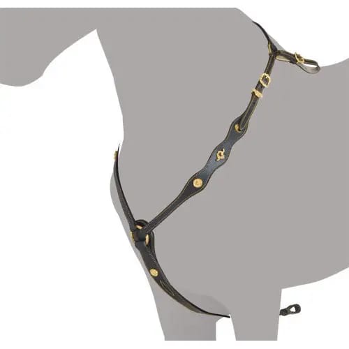 Jachthalsband voor paarden Ludomar Ludomar