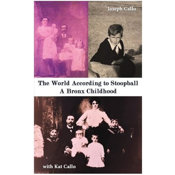 The World According To Stoopball - Joseph Callo