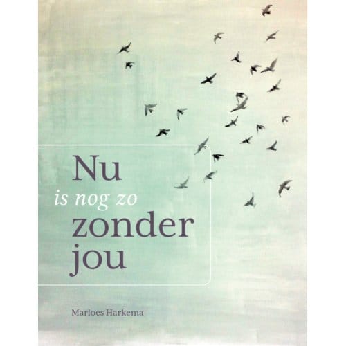 Nu Is Nog Zo Zonder Jou - Marloes Harkema