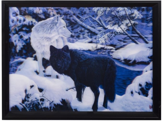 3-d schilderij wolf