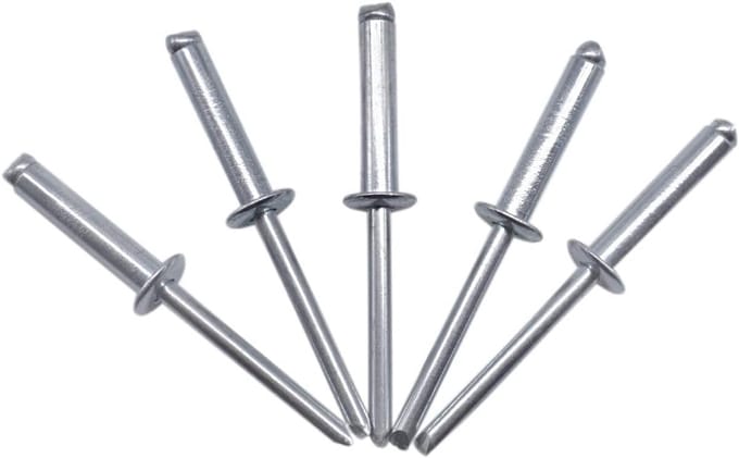 100 Stuks Blindklinknagels 4x20mm Staal Open Bolkop - Popnagels DIN 7337