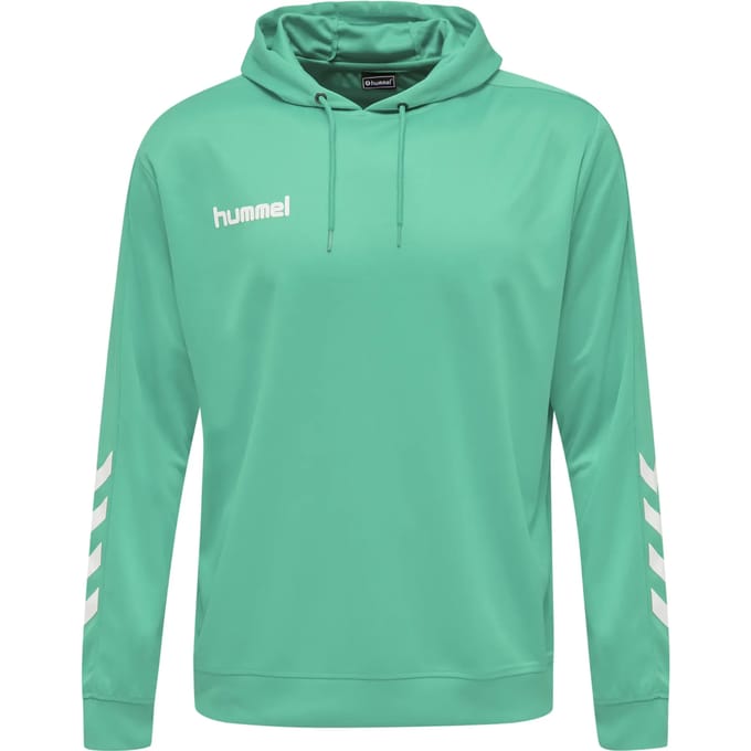 Capuchon sweaters hummel Sweat à capuche Promo Poly vert
