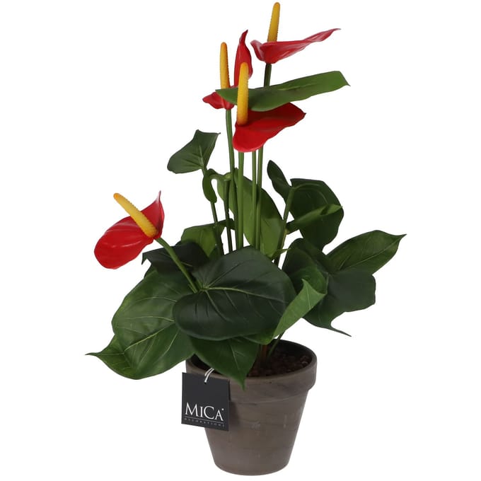 Mica Decorations Anthurium Kunstplant in Bloempot Stan - H38 x Ø30 cm - Rood