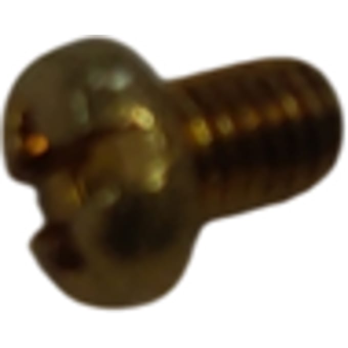Screw
