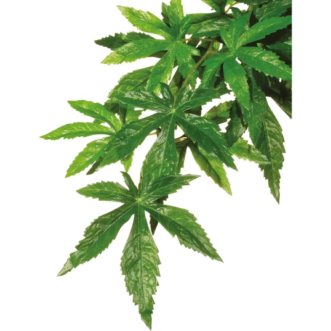 Decoratieset voor planten Exo Terra