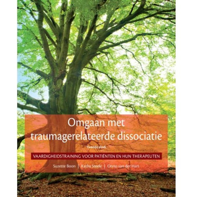 Omgaan Met Traumagerelateerde Dissociatie - Suzette Boon