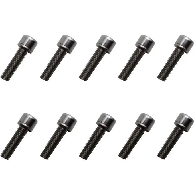 Set van 10 verchroomde stiftschroeven P2R
