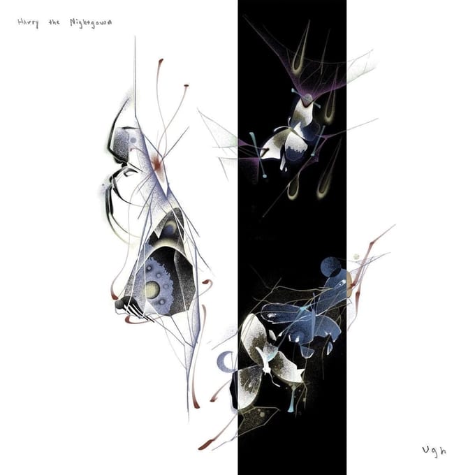 Harry The Nightgown - Ugh (LP)
