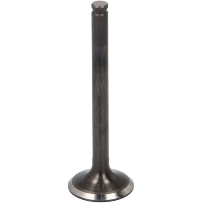 Uitlaatklep PARSUN F4-04080006A