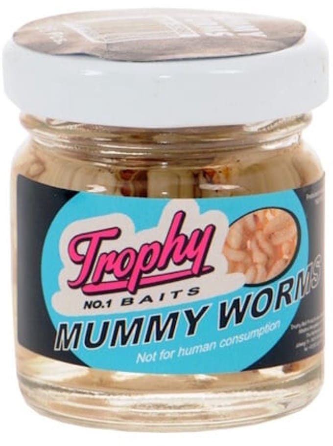 Trophy Mummy Worms Bewaarde Wasmotten | 25 Stuks White