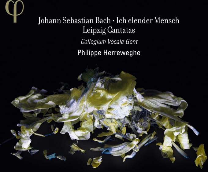 Collegium Vocale Gent, Philippe Herreweghe - Leipzig Cantatas Vol. 2 (CD)