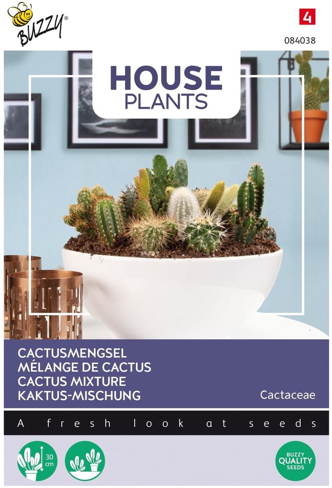 Buzzy® House Plants Cactus mengsel