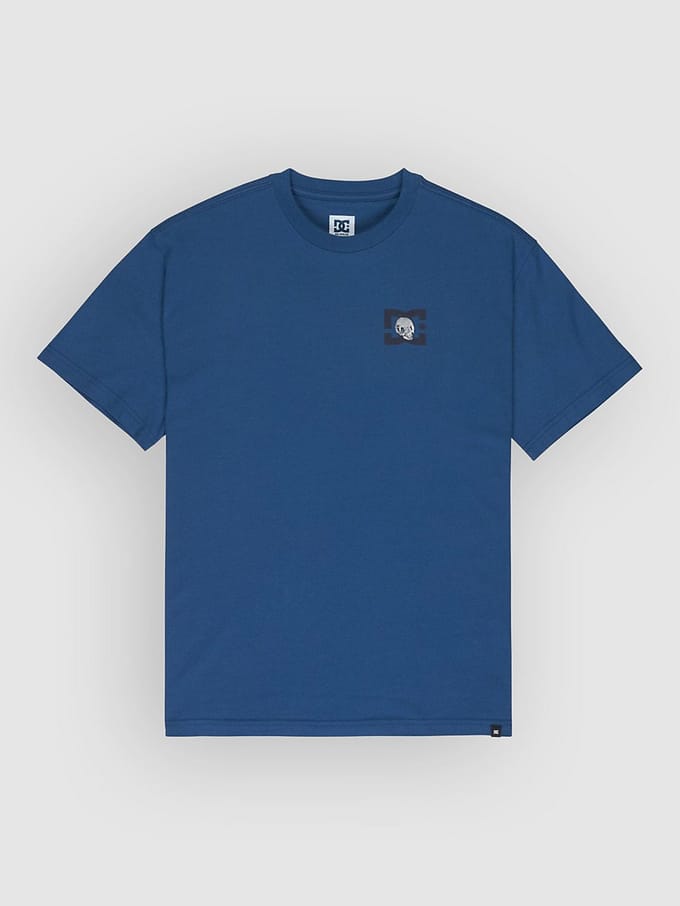 DC Skull And Star T-Shirt blauw