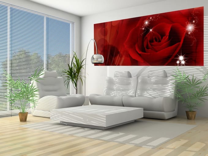 Flower Rose Red  Photo Wallcovering