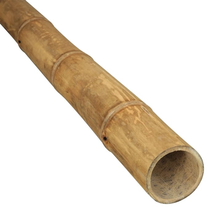 Masters of Bamboo® Bamboe Paal Guadua - 400 cm - Ø 9-11 cm