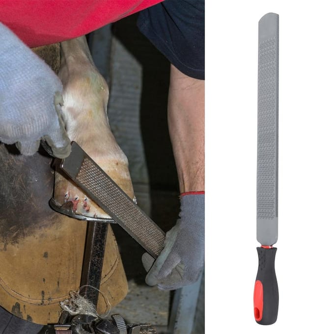 Dubbelzijdige Hoefsmid Paardenvijl Hoefbekappen Beslaggereedschap Paardrijaccessoires gray