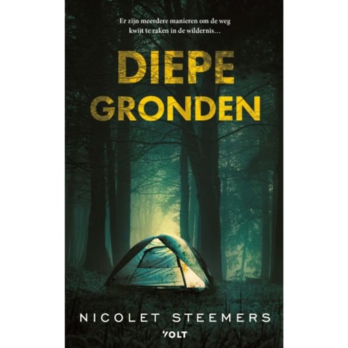 Diepe Gronden - Nicolet Steemers