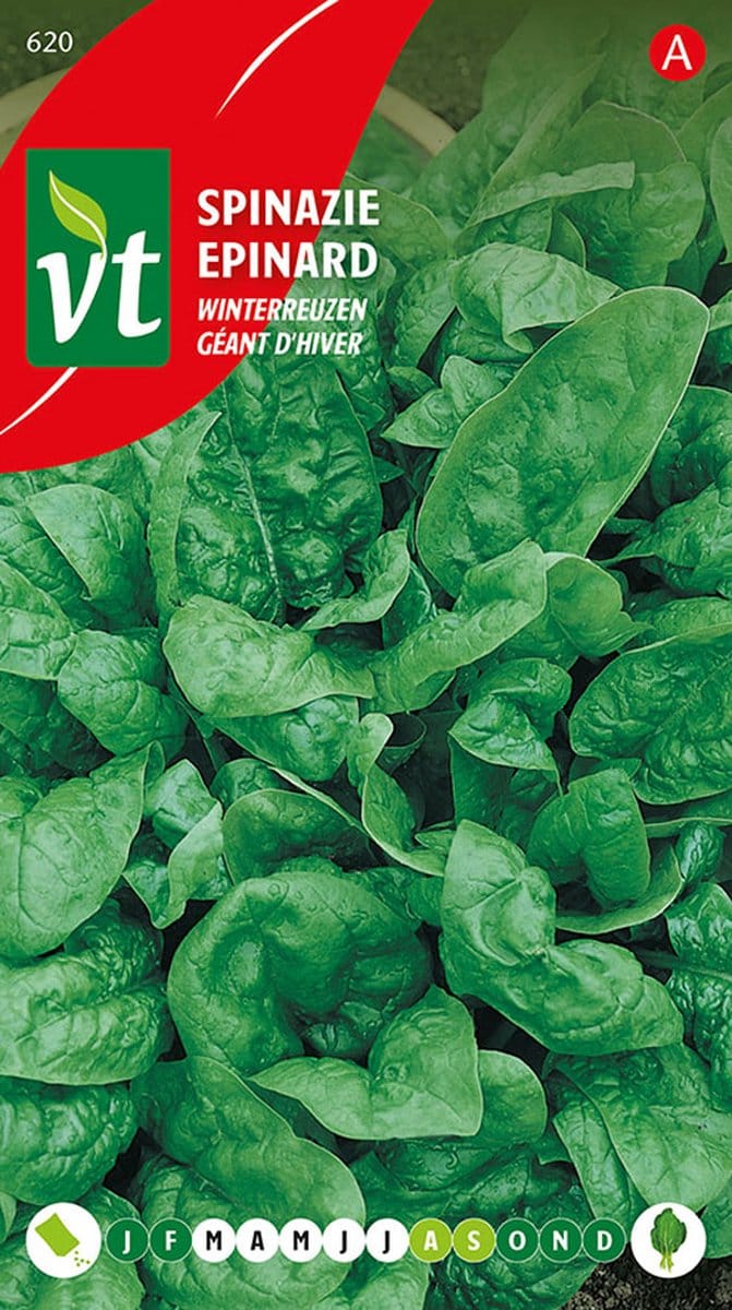 Spinazie 'Winterreuzen' - Sterk en Winterhard