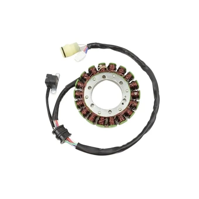 Originele aanpasbare motor dynamo Electrosport Yamaha