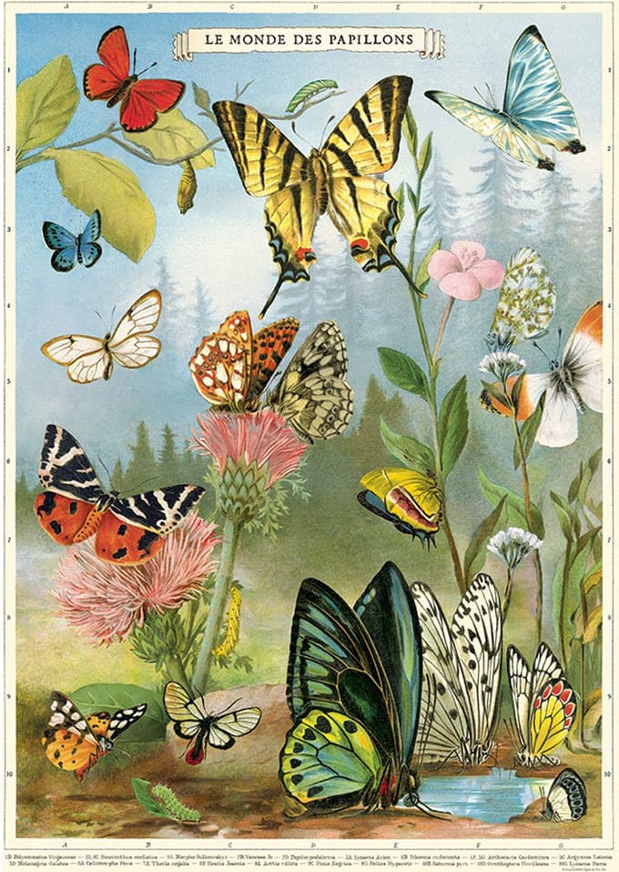Poster Vlinders 4 - Cavallini & Co - Butterlfy Posters - Schoolplaat Vlinder