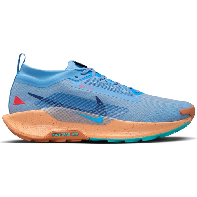 Trailschoenen Nike Pegasus 5 Gore-Tex