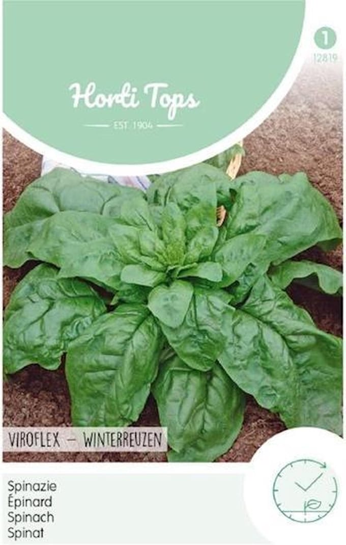 Hortitops Zaden - Spinazie Winterreuzen 15 gram