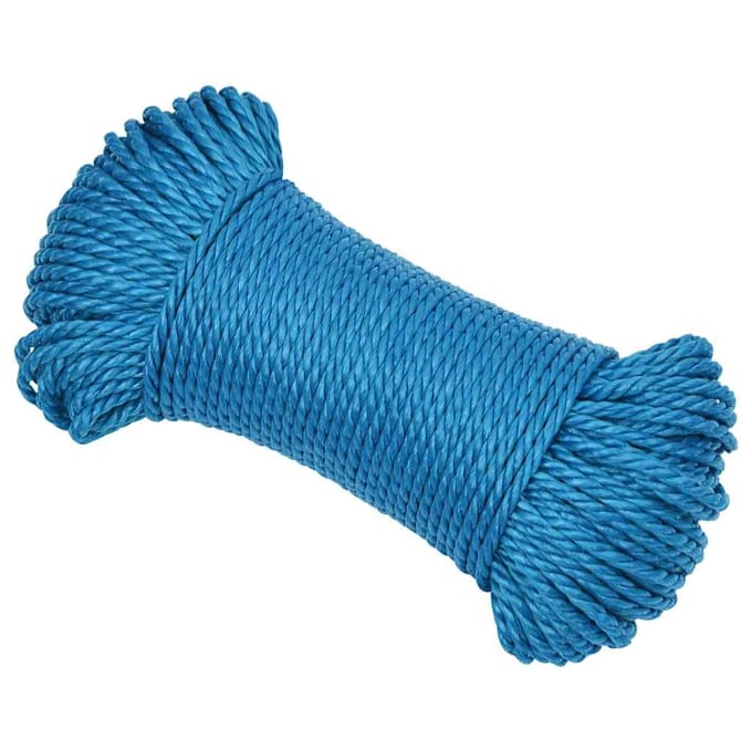 vidaXL - Werktouw - 3 - mm - 500 - m - polypropeen - blauw