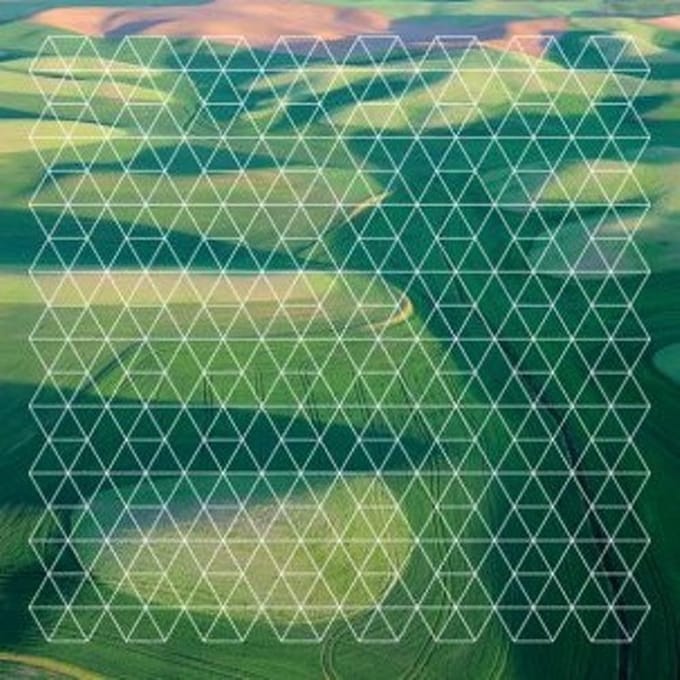 Henry Plotnick - Fields (CD)