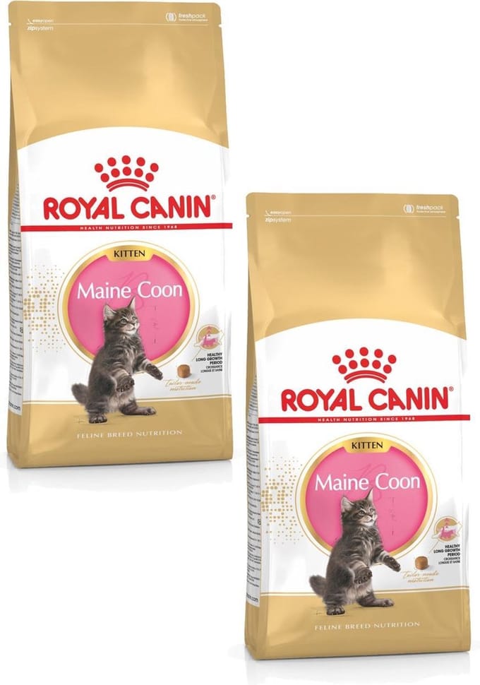 Royal Canin Maine Coon Kitten - Kitten-Kattenvoer - 2 x 4 kg