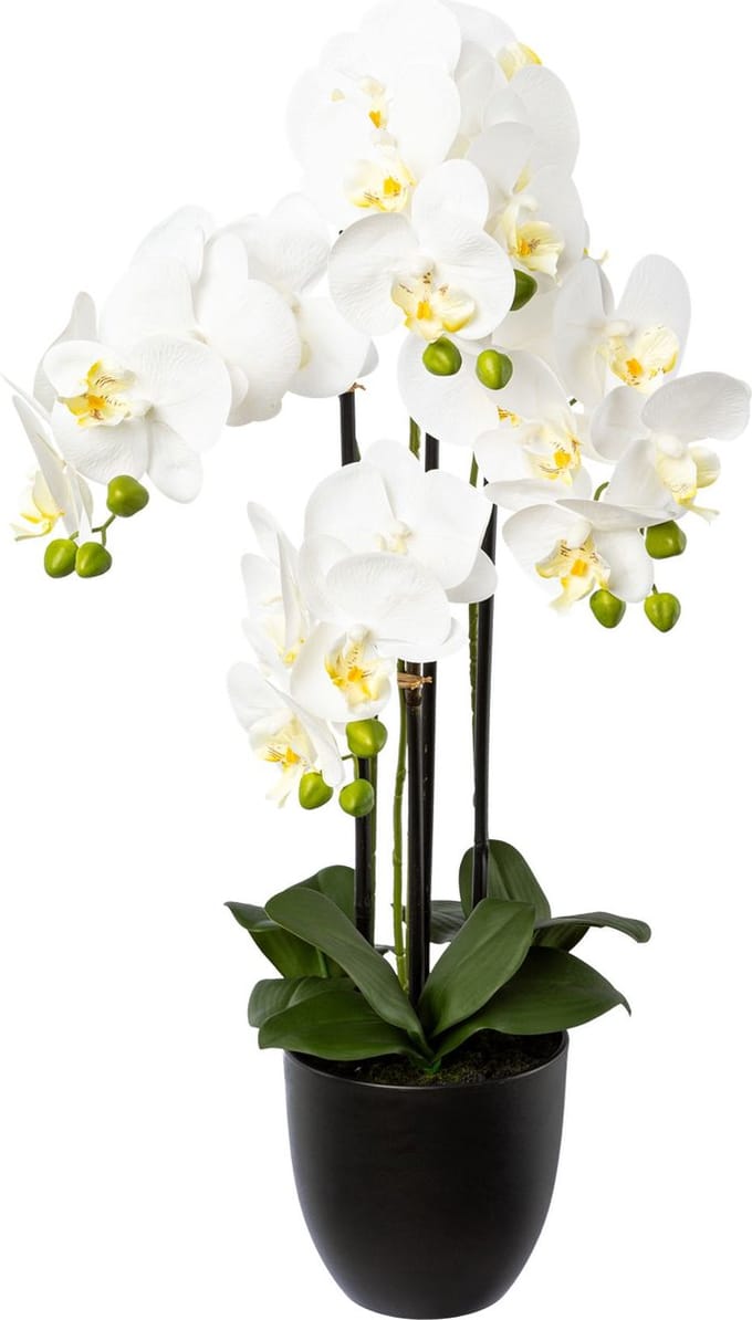 Kopu® Kunstbloem Orchidee 69 cm Wit met zwarte Pot - Phalenopsis