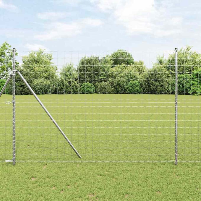 vidaXL - Euro - Hek - 1,6 - x - 10 - m - PVC-gelaagd - ijzer
