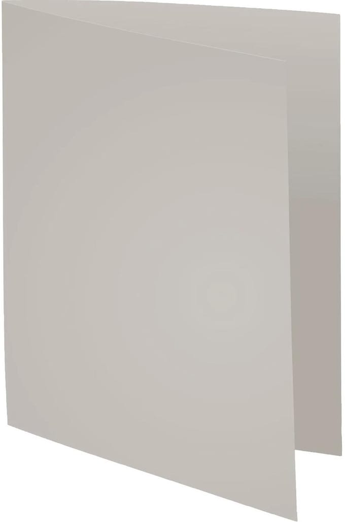 Exacompta 5x FOREVER 220-Pak van 100 dossiermappen 220g/m2 24x32cm voor A4. - Grijs - 410009E