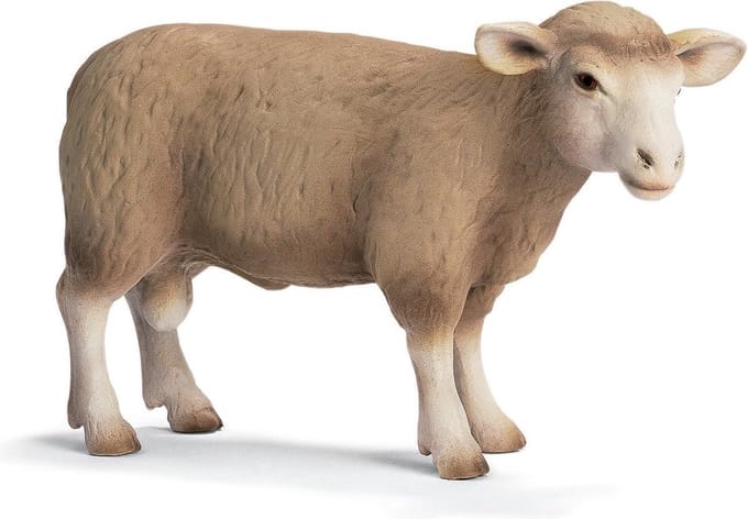 Ram Schleich