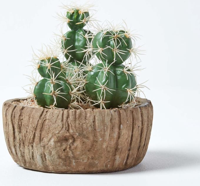 Homescapes Kunstcactusarrangement in pot met houteffect, 15 cm hoog