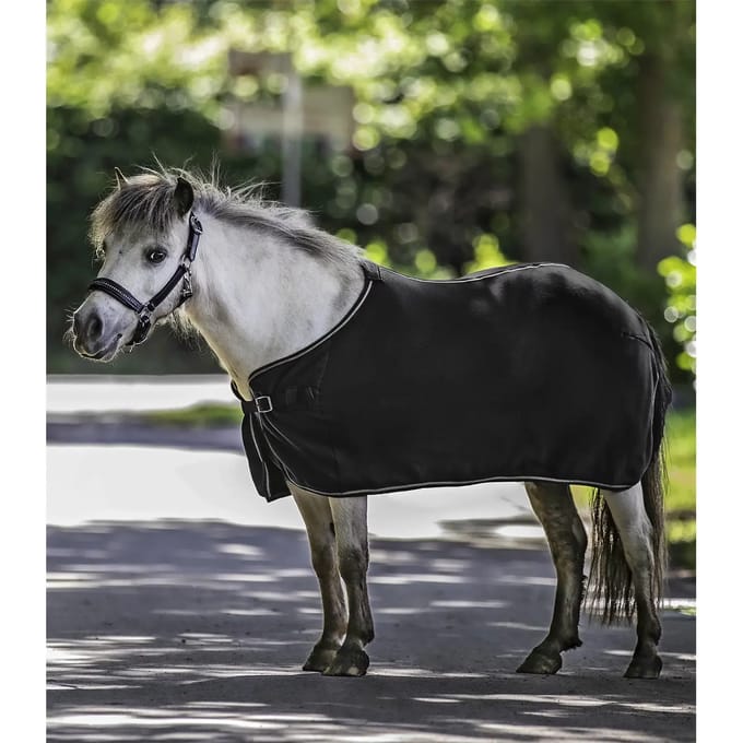 Paardenvacht Waldhausen Economic