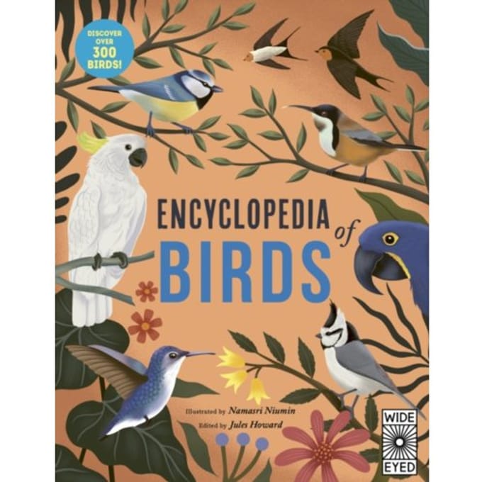 Encyclopedia Of Birds - Jules Howard