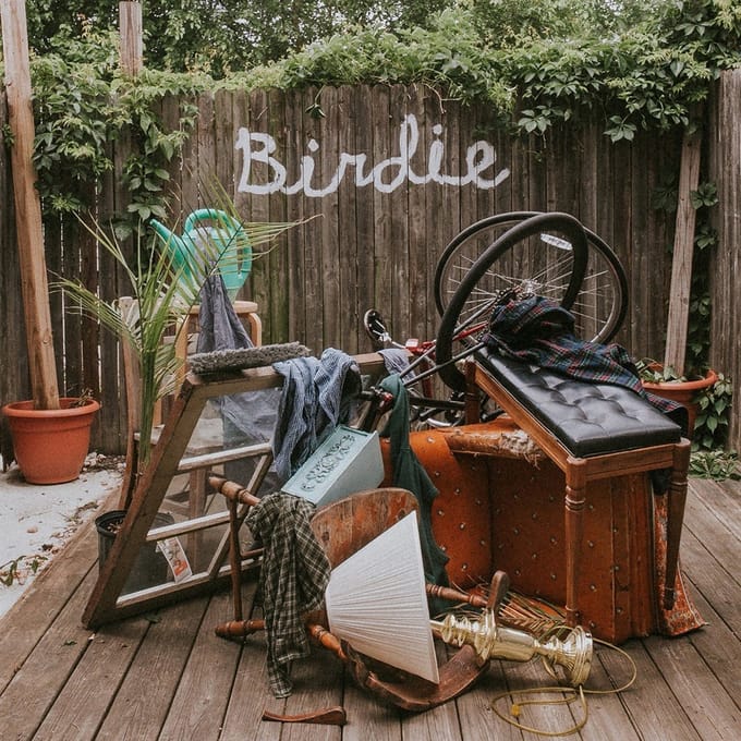 Slaughter Beach, Dog - Birdie (LP) (Coloured Vinyl)