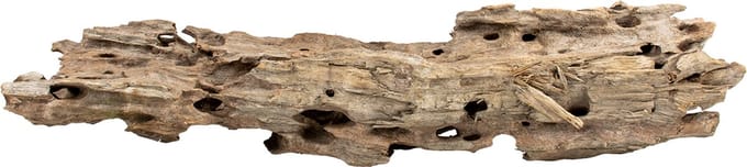 Aqua D'ella Honingraathout bruin aquarium en terrarium decoratie L - +/- 45-58cm