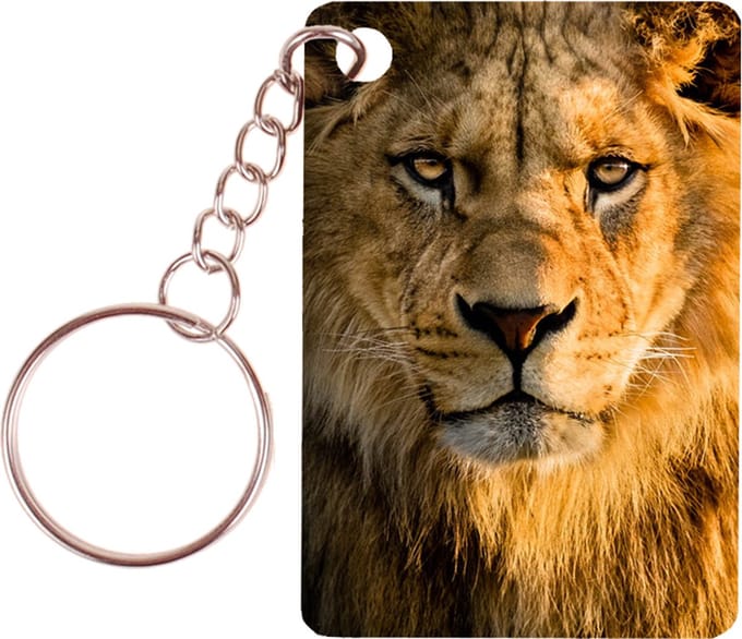 Sleutelhanger 6x4cm - Leeuw - Hoofd