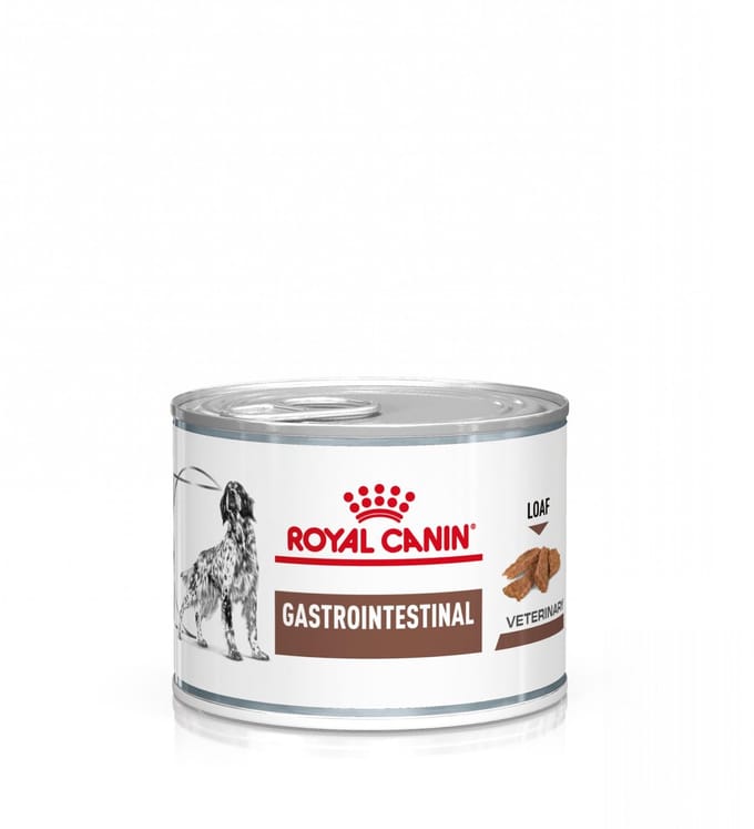 Royal canin dog gastro intestinal