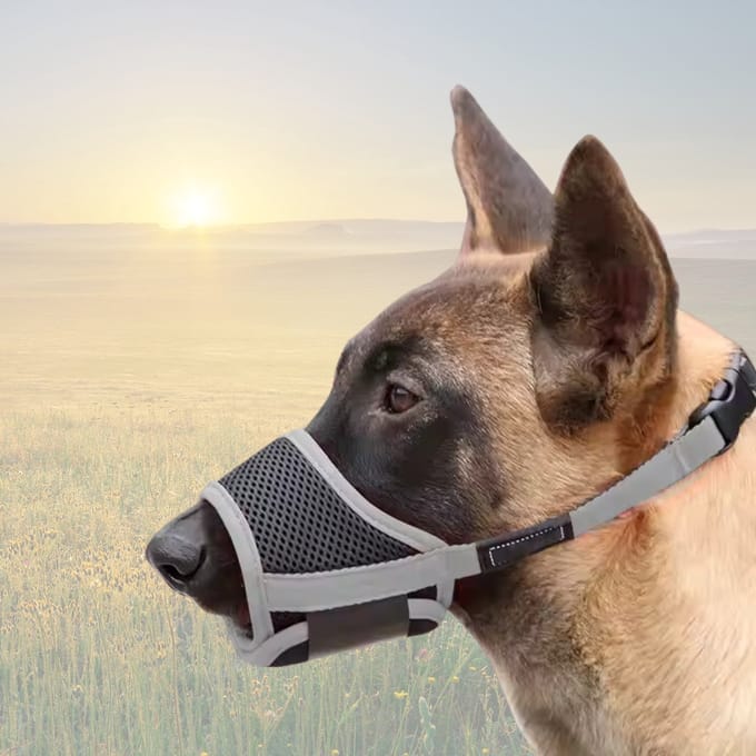 4Paw® Muilkorf Grote hond - Maat XL - Snuit 20-24 cm Verstelbaar grijs