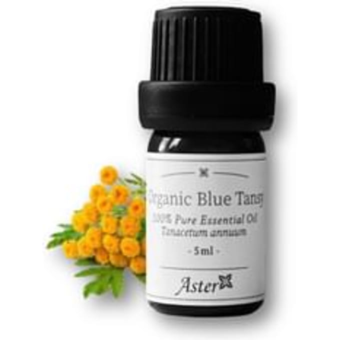 Aster Aroma - Organic Blue Tansy Essential Oil 5ml