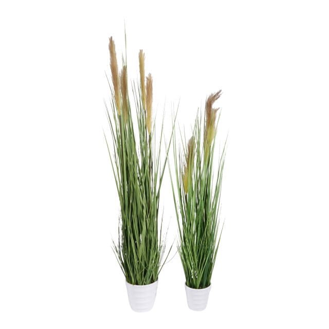 Kopu® Kunstplant Pampusgras 95 cm - 3 pluimen - in witte pot