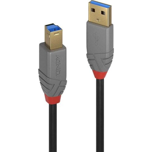 LINDY 36743 USB-kabel USB 3.2 Gen1 USB-A stekker, USB-B stekker 3.00 m Zwart