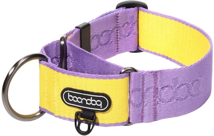 Boondog - Martingale Wide Collar - Purple/Lemon- M